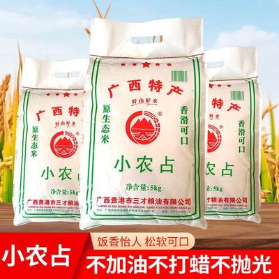 广西小农占长粒香米大米清香软糯原生态农家米小农粘新米10斤包邮