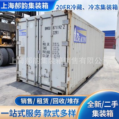 出租二手20FR冷藏冷冻集装箱 二手保温冷藏集装箱 海运冷冻集装箱