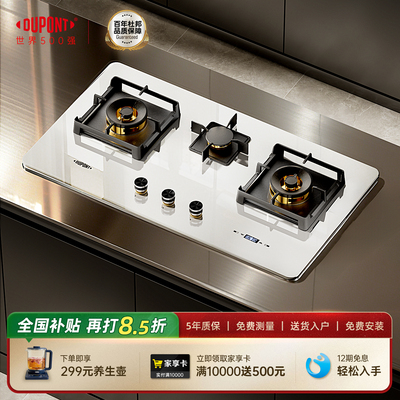 【世界500强】DuPont杜邦三眼燃气灶定时嵌入式天然气家用双头灶