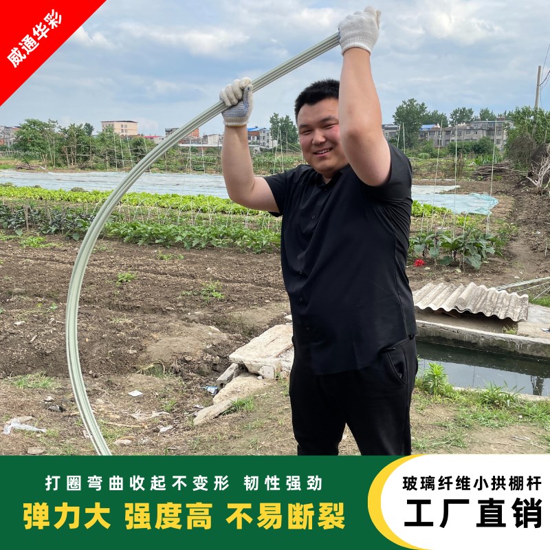 新型农用大棚骨架小拱棚支架实心玻璃纤维杆蔬菜园艺支架杆全套