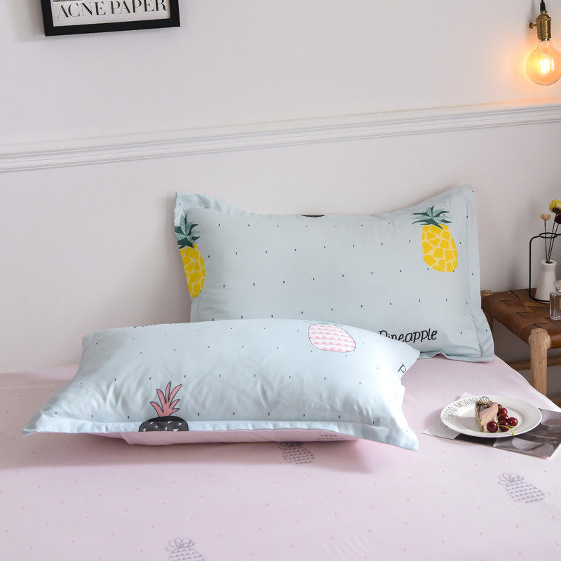 猫咪斜纹枕头芦荟棉枕套加厚磨毛单只学生宿舍一对枕头套48x74cm