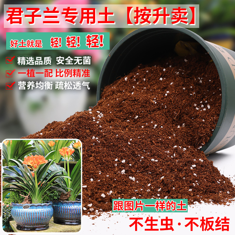 君子兰专用土营养土君子兰花腐殖腐叶土盆栽种植肥料土壤松土透气