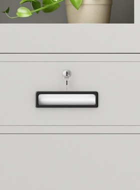 臻远 ZY-G004 中二斗文件柜 1800*850*390 灰白色