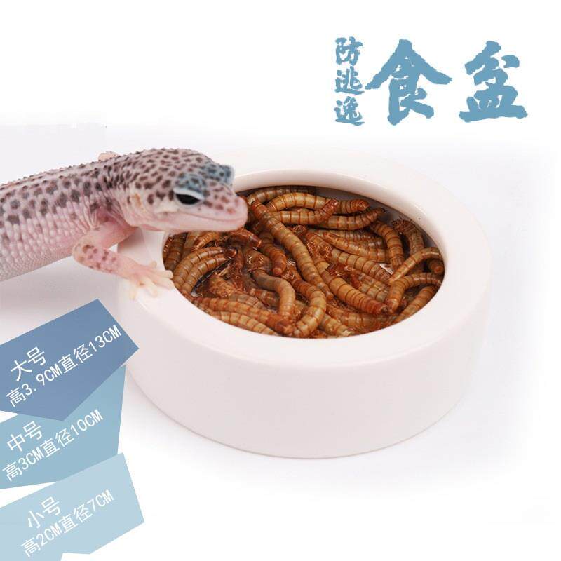 Zicra元素爬虫防逃食盆昆虫大麦虫杜比亚防逃逸食盆守宫蜥蜴水盆