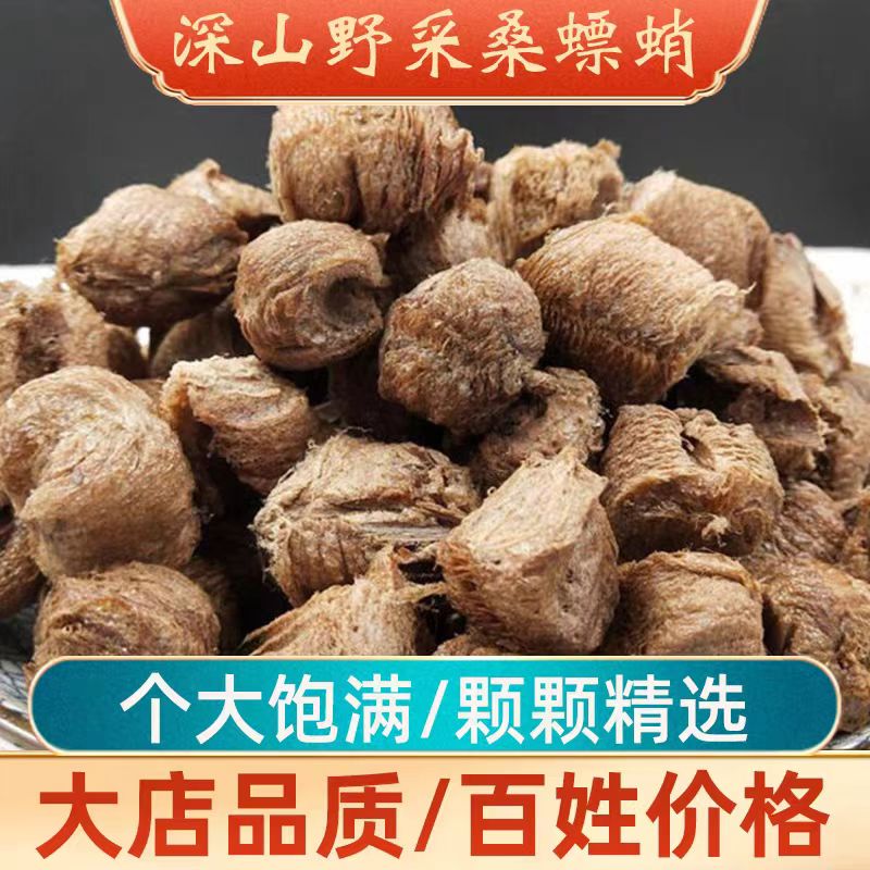 桑螵蛸中药材自然野生螳螂卵鞘饮刀螂籽散丸片泡酒熟桑嫖蛸虫泡水