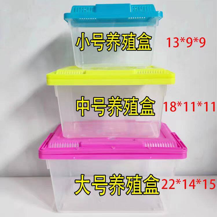 爬宠饲养盒蜗牛蜘蛛角蛙乌龟大中小号树栖躲避造景两栖爬虫饲养箱