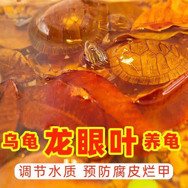 天然养乌龟龙眼叶风干懒人叶榄仁叶预防腐皮免煮鱼缸水族造景躲避