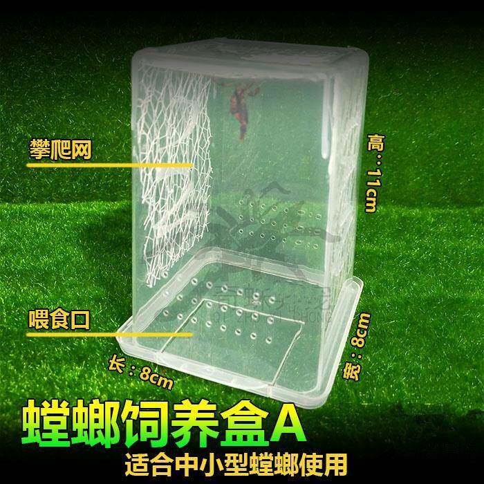 螳螂饲养盒螳螂盒活体昆虫盒昆虫饲养盒塑料盒螳螂盒包邮