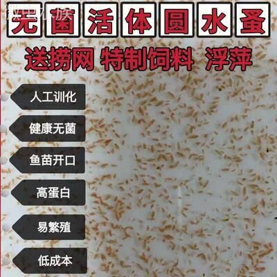 水蚤活体蹦蹦虫淡水活鱼幼虫可繁殖教学鱼虫开口料红虫血虫草履虫