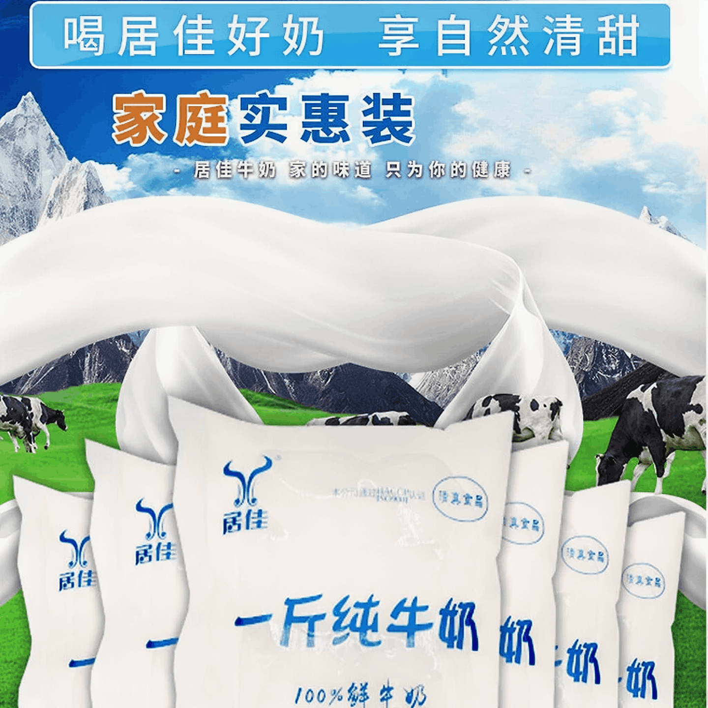 牛奶纯奶居佳一斤纯牛奶500gx10袋整箱鲜奶营养早餐