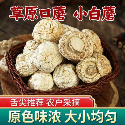 口蘑干货白蘑菇张家口特产口蘑新鲜口蘑菇草原白蘑口菇双孢菇200g
