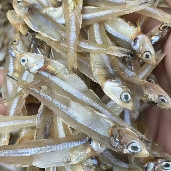 福建东三岛银线鱼干炒辣椒下饭菜味道鲜美,水产肉类/新鲜蔬果/熟食,鱼干,淘宝优惠券,粉丝福利购,淘宝优惠卷