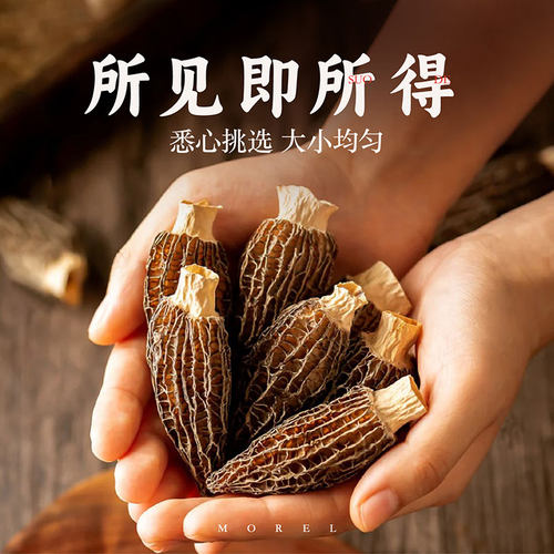 子归山高山头茬肉厚羊肚菌个人肉厚煲汤炖汤