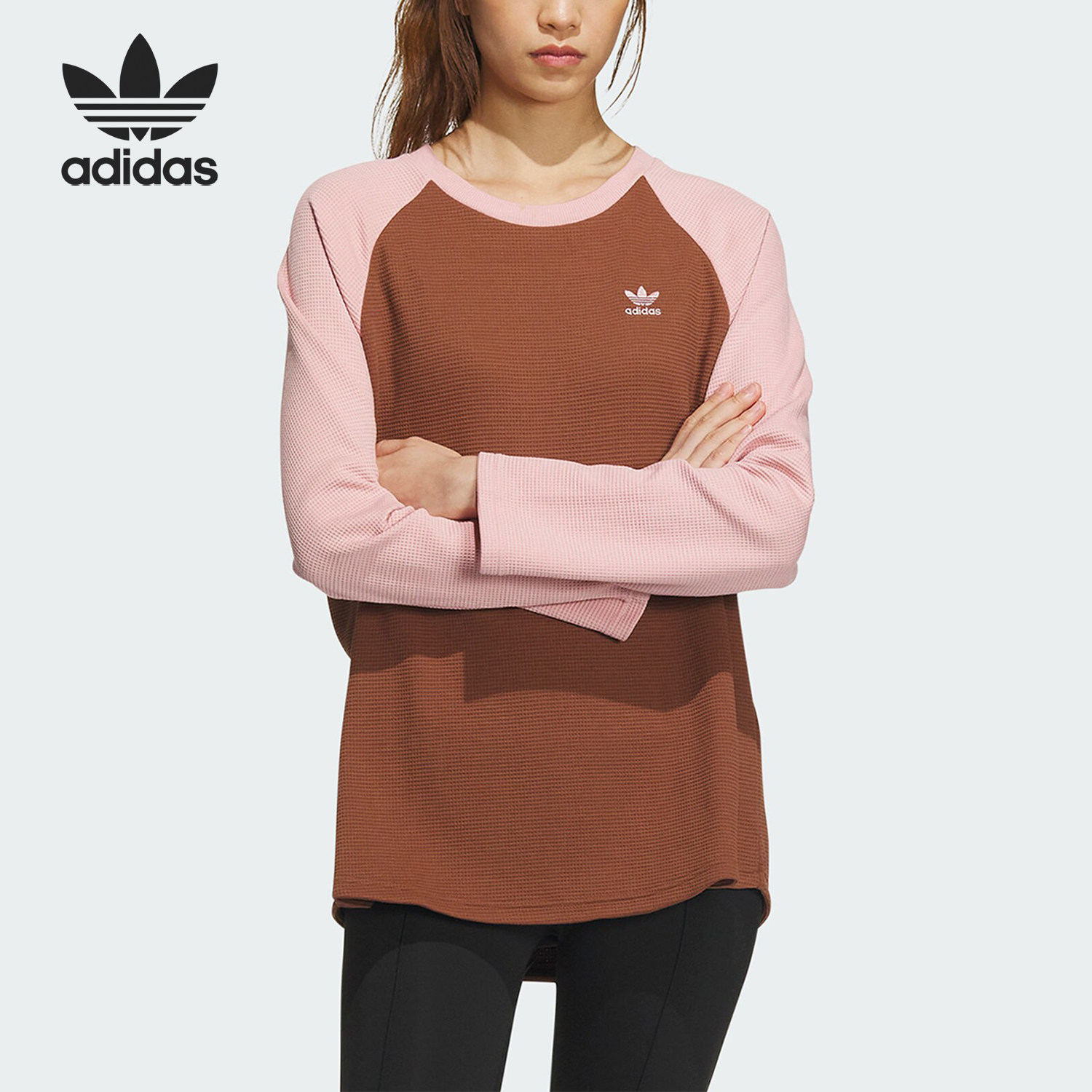 Adidas/阿迪达斯正品三叶草女子宽松经典运动长袖T恤IZ1542