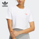 女子运动短款 Adidas 新款 三叶草当季 T恤HP0091 阿迪达斯正品