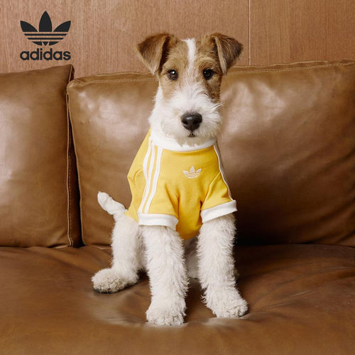 Adidas阿迪达斯正品经典男女短袖透气圆领常规套头运动T恤KH0121
