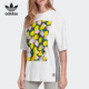GRAPHIC TEE 女装 Adidas T恤 三叶草 运动短袖 FL4080 阿迪达斯正品