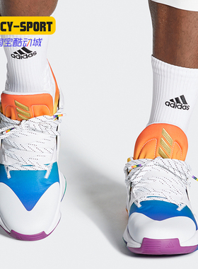 Adidas/阿迪达斯正品Harden Vol. 4 GCA - Pride男子篮球鞋FX4797