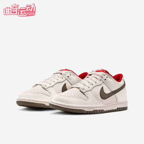Nike/耐克正品Dunk Low GS女子大童系带耐磨低帮运动鞋IQ9793-020