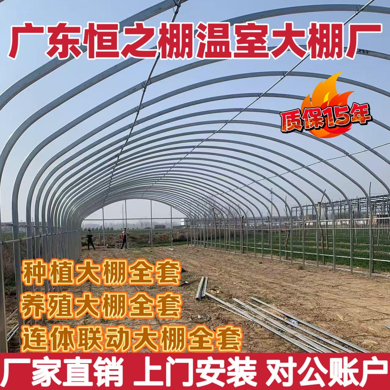 椭圆管养殖大棚养鸡大棚全套养猪牛羊大棚骨架钢管种植香菇水产棚