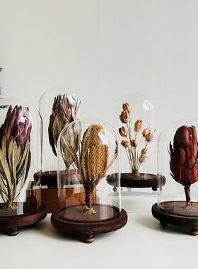 样板间轻奢植物标本装饰品玻璃罩摆件花艺中草药覆古简约标摆件