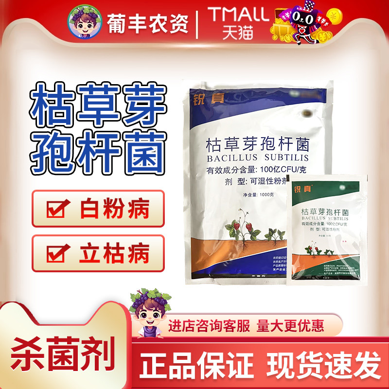 锐真枯草芽孢杆菌立枯病白粉病