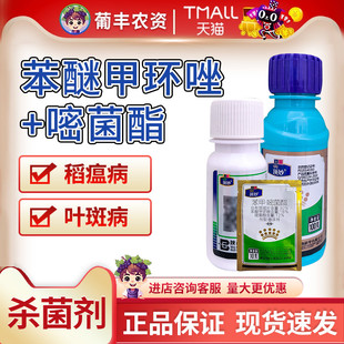 顶妙苯醚甲环唑嘧菌酯辣椒芒果树炭疽病水稻纹枯稻瘟病农药杀菌剂