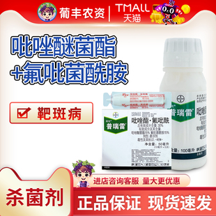 拜耳 普瑞雷 30%吡唑醚菌酯氟吡菌酰胺脂黄瓜靶斑病农药杀菌剂