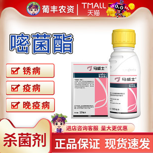 先正达 马威士 嘧菌酯白粉黑星蔓枯病霜霉病早疫炭疽病杀菌剂农药