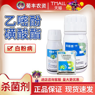 西安近代 阿雷泰25%乙嘧酚磺酸酯黄瓜白粉病乙嘧吩农药内吸杀菌剂