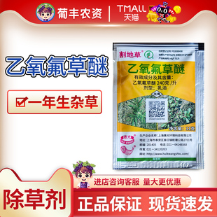 割地草24%乙氧氟草醚谜大蒜田姜田一年生除杂草灭草农药除草剂