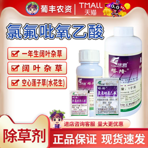 水花生克星烂根剂氯氟吡氧乙酸