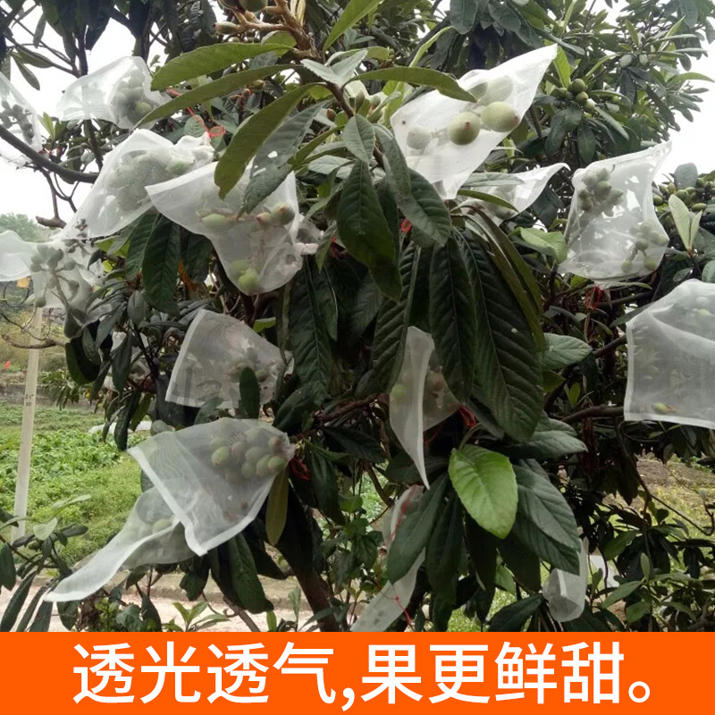 水果套袋枇杷专用袋果袋葡萄驱鸟神器芒果保护草莓U套袋防鸟防虫图片