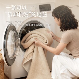 可拆洗地毯客厅防水易打理可机洗沙发垫房间卧室大面积全铺床边毯