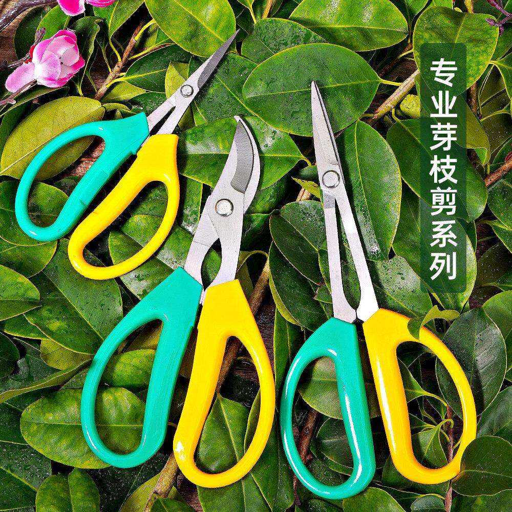 加长稀果剪葡萄疏花剪修花修枝剪柑橘子花椒葡萄专用采摘水果剪刀
