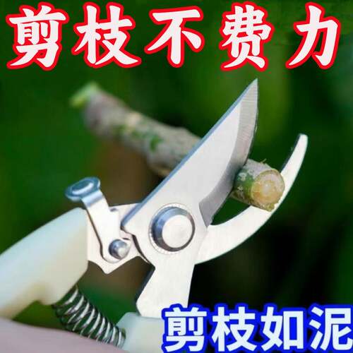 果树剪刀修枝神器摘果剪树剪花卉枝剪刀绿化嫁接园林园艺修剪剪枝