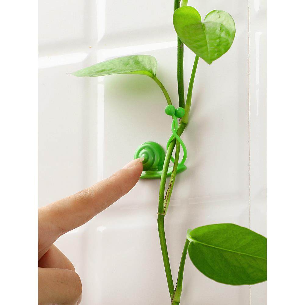 绿萝绿植爬墙固定神器无痕家用扣攀爬室内蔓藤植物墙上挂钩固定夹,收纳整理,双面贴物器,淘宝优惠券,粉丝福利购,淘宝优惠卷