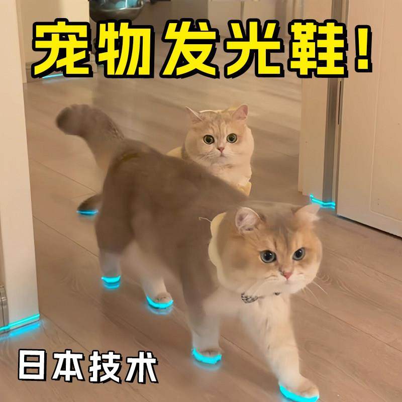 猫咪发光鞋宠物狗狗鞋子哨子夜光儿童玩具夜间拍照小配件撸猫装扮,宠物/宠物食品及用品,宠物鞋子,淘宝优惠券,粉丝福利购,淘宝优惠卷