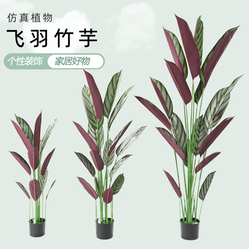 仿生绿植飞羽竹芋盆栽室内大型落地摆件仿真树绿化工程人造假植物