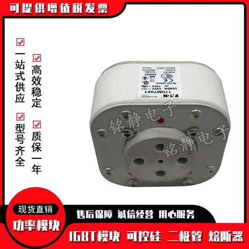 170M7058 170M7059 170M7060巴斯曼熔断器现货170M7061 170M7062