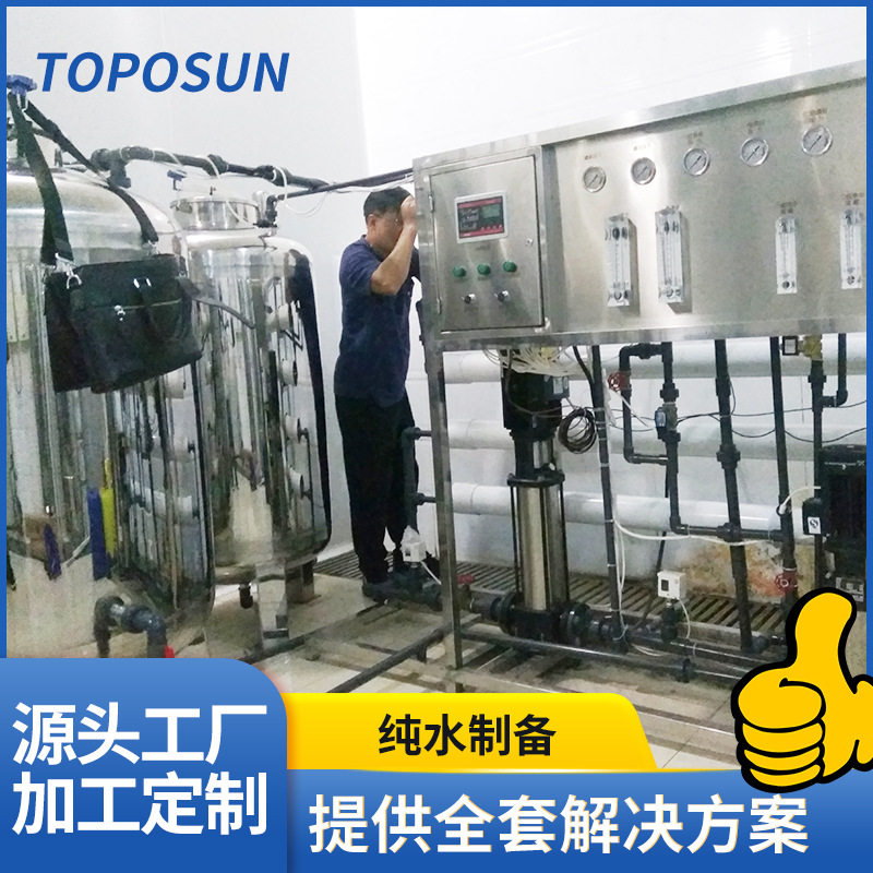 RO膜反渗透设备制水机0.5-50吨/时纯净水EDI制水过滤净化过滤器