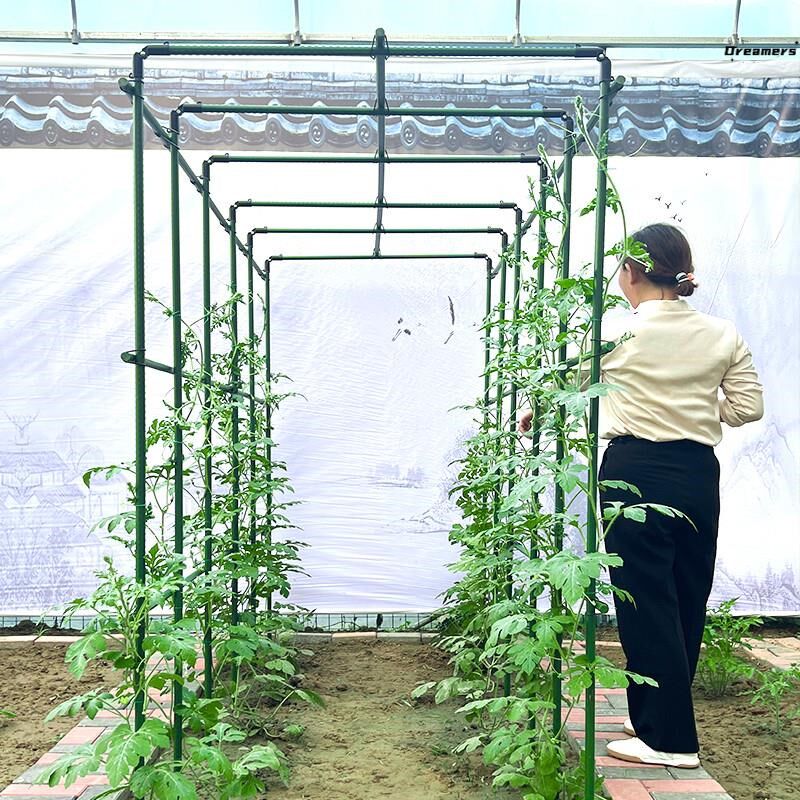 。苦瓜爬藤架四季豆丝瓜西瓜猕猴桃爬藤架葡萄架金银花凌霄花爬藤图片