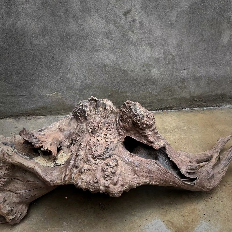 老木头枯木造型摆件朽木烂木头工艺品民宿展厅枯木造景装饰