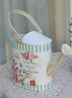 浇水壶法式田园铁艺小洒水壶浇花壶花店橱窗花园庭院杂货装饰摆件