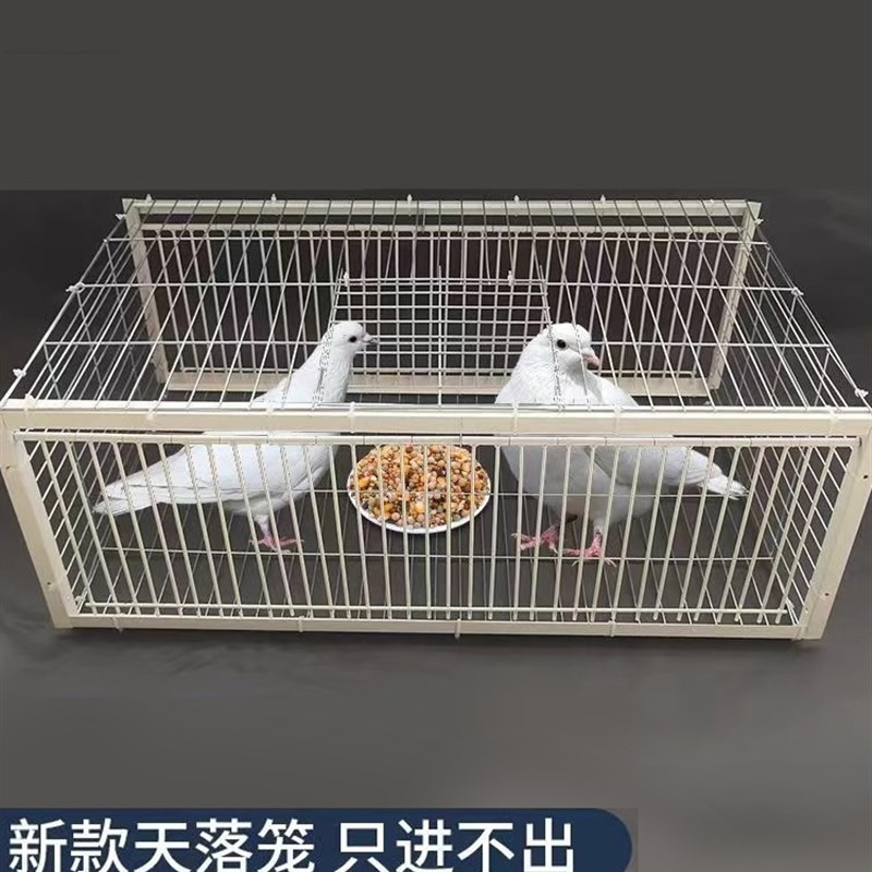 鸽子笼撞门笼子户外只进不出自动收鸽子神器天落笼加密鸽笼活络门图片