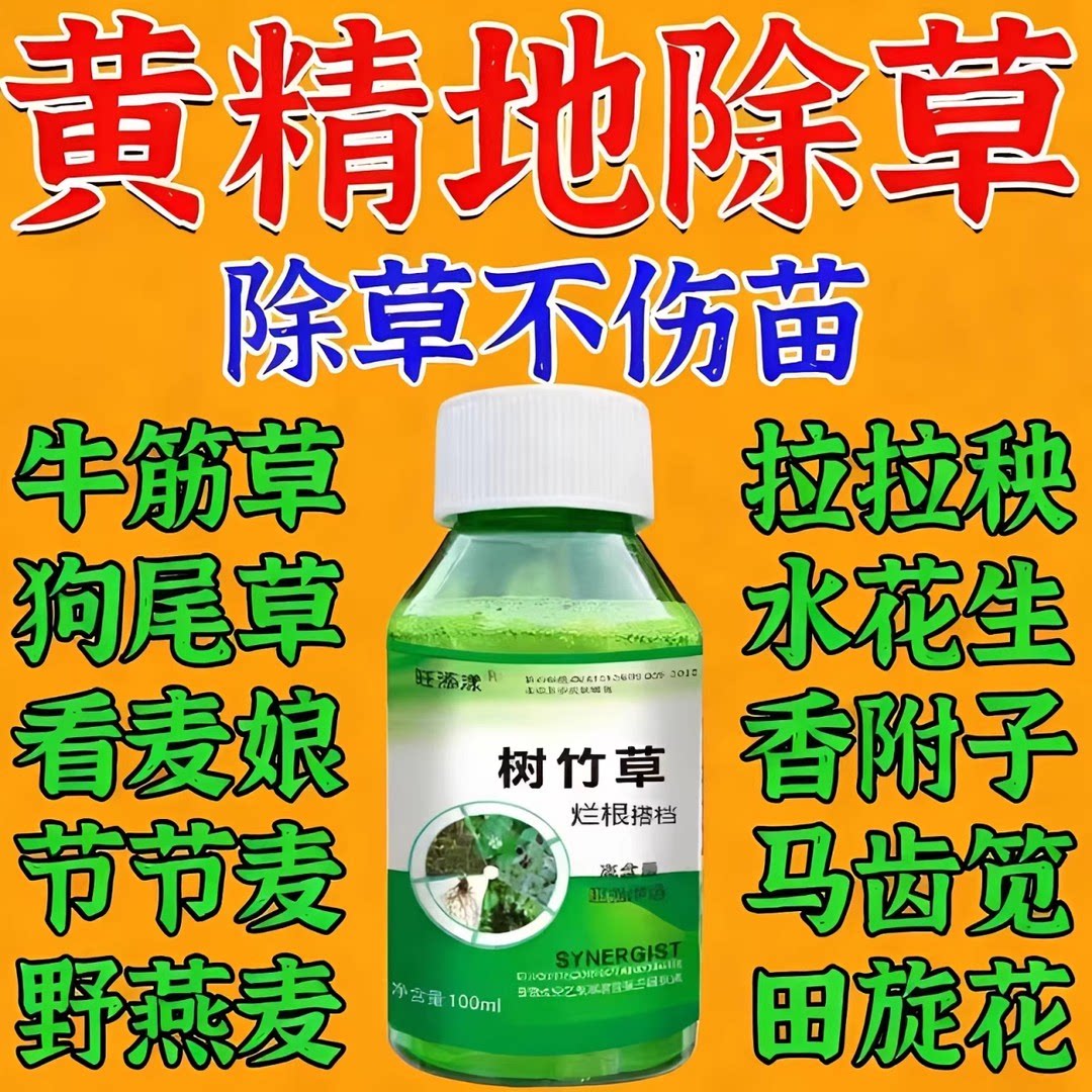 黄精专用除草神器强力除杂草烂根剂一扫光禾阔双除封闭安全不伤苗