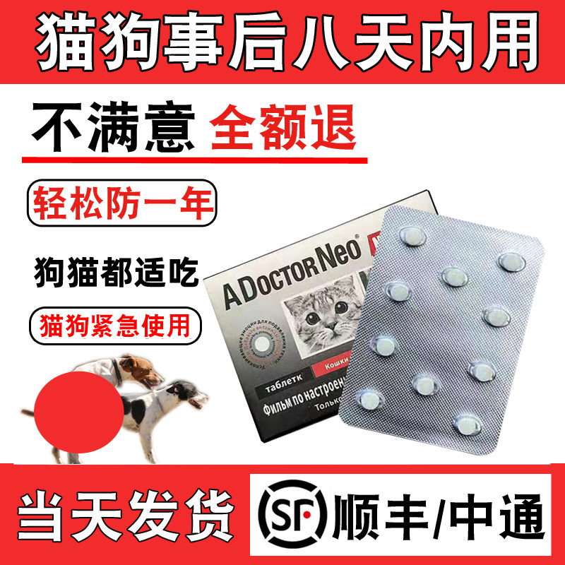 狗狗防止交配怀孕紧母狗母猫后急抑情片母猫绝土狗宠物育效长事避图片