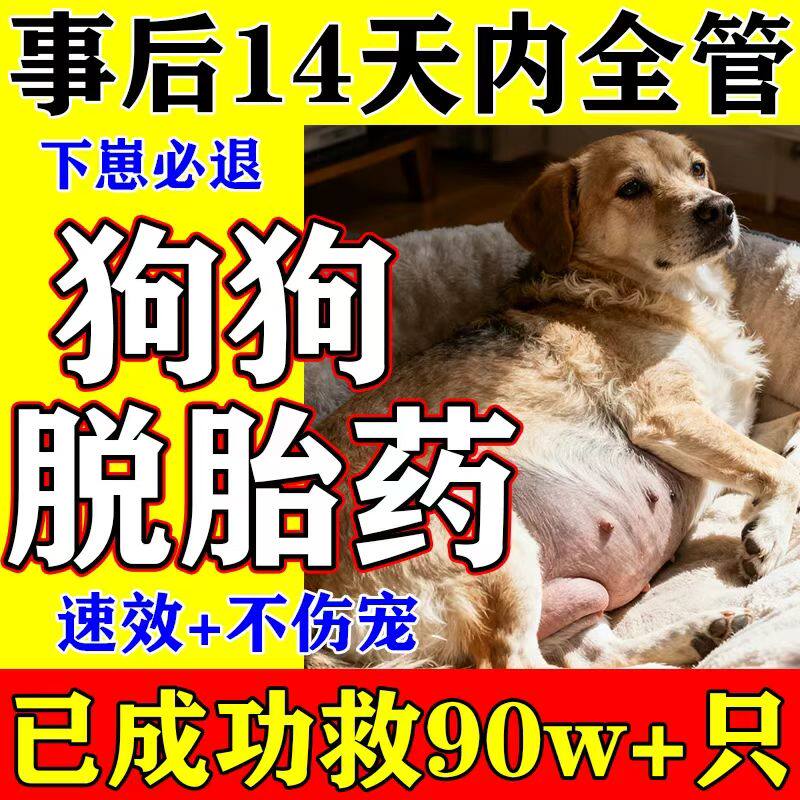 狗狗脱胎药跺猫咪狗狗避母狗事后紧急绝育药狗狗避育长效防怀孕
