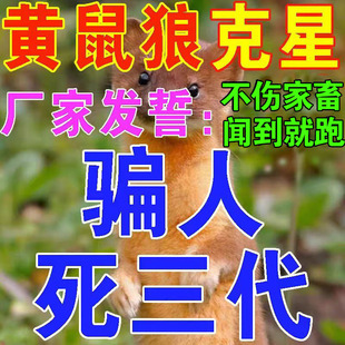 驱黄鼠狼专用药养鸡防黄鼠狼神器养殖场强力气味驱赶吓黄鼠狼克星
