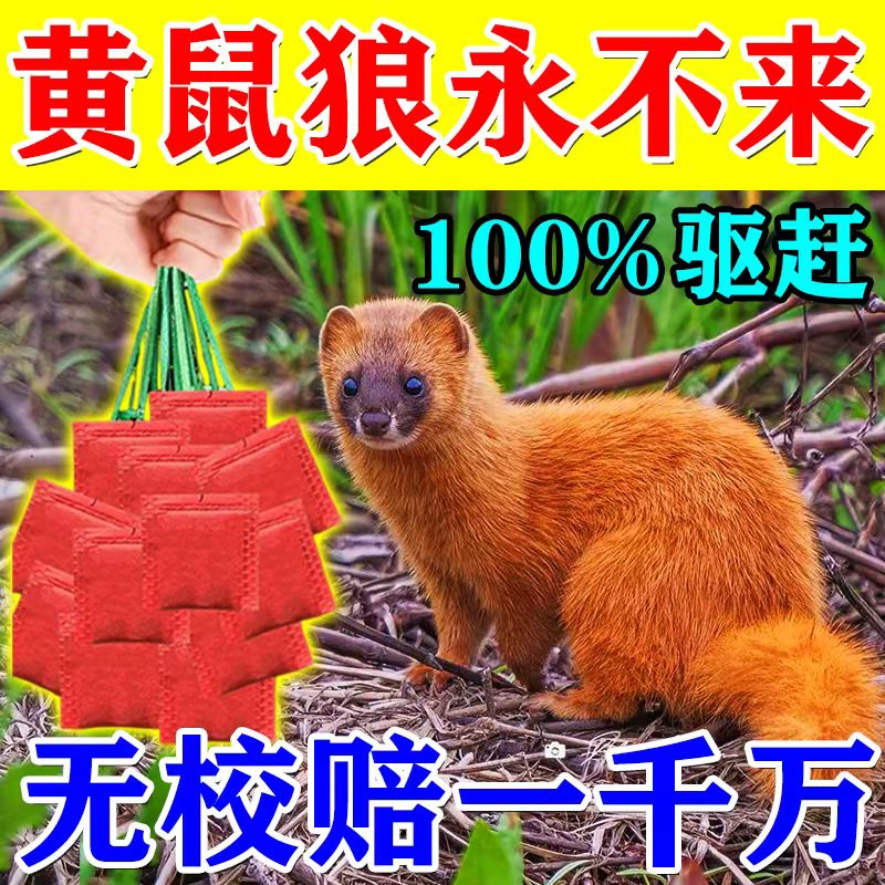 驱黄鼠狼专用药养鸡神器养殖场防黄鼠狼强力气味驱赶吓黄鼠狼克星